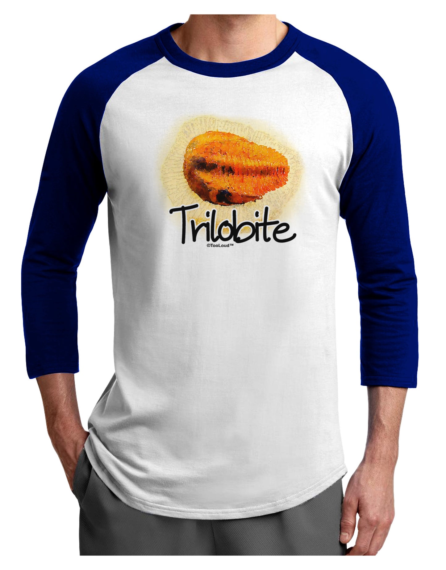 Trilobite Fossil Watercolor Text Adult Raglan Shirt-TooLoud-White-Royal-X-Small-Davson Sales