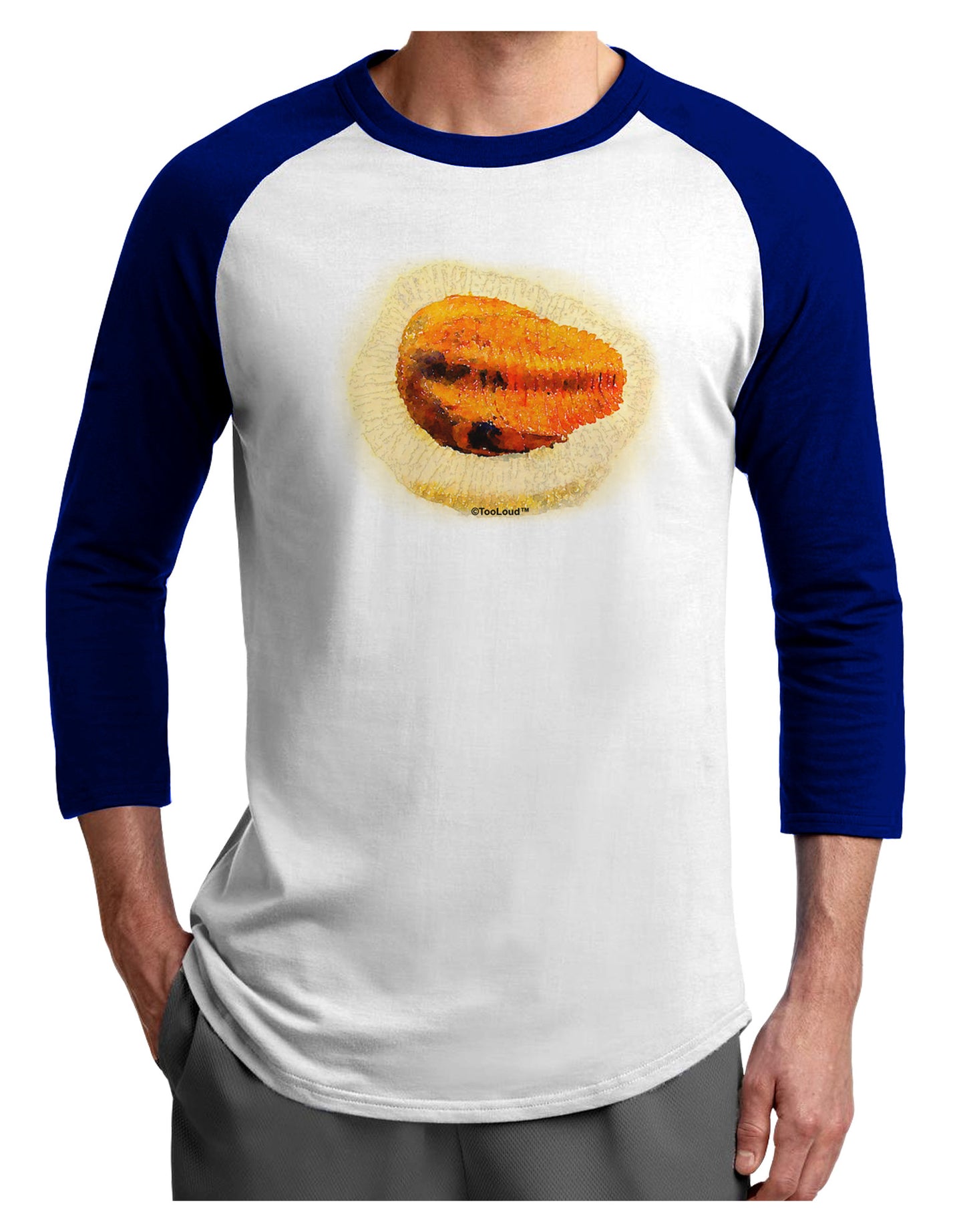 Trilobite Fossil Watercolor Adult Raglan Shirt-TooLoud-White-Royal-X-Small-Davson Sales