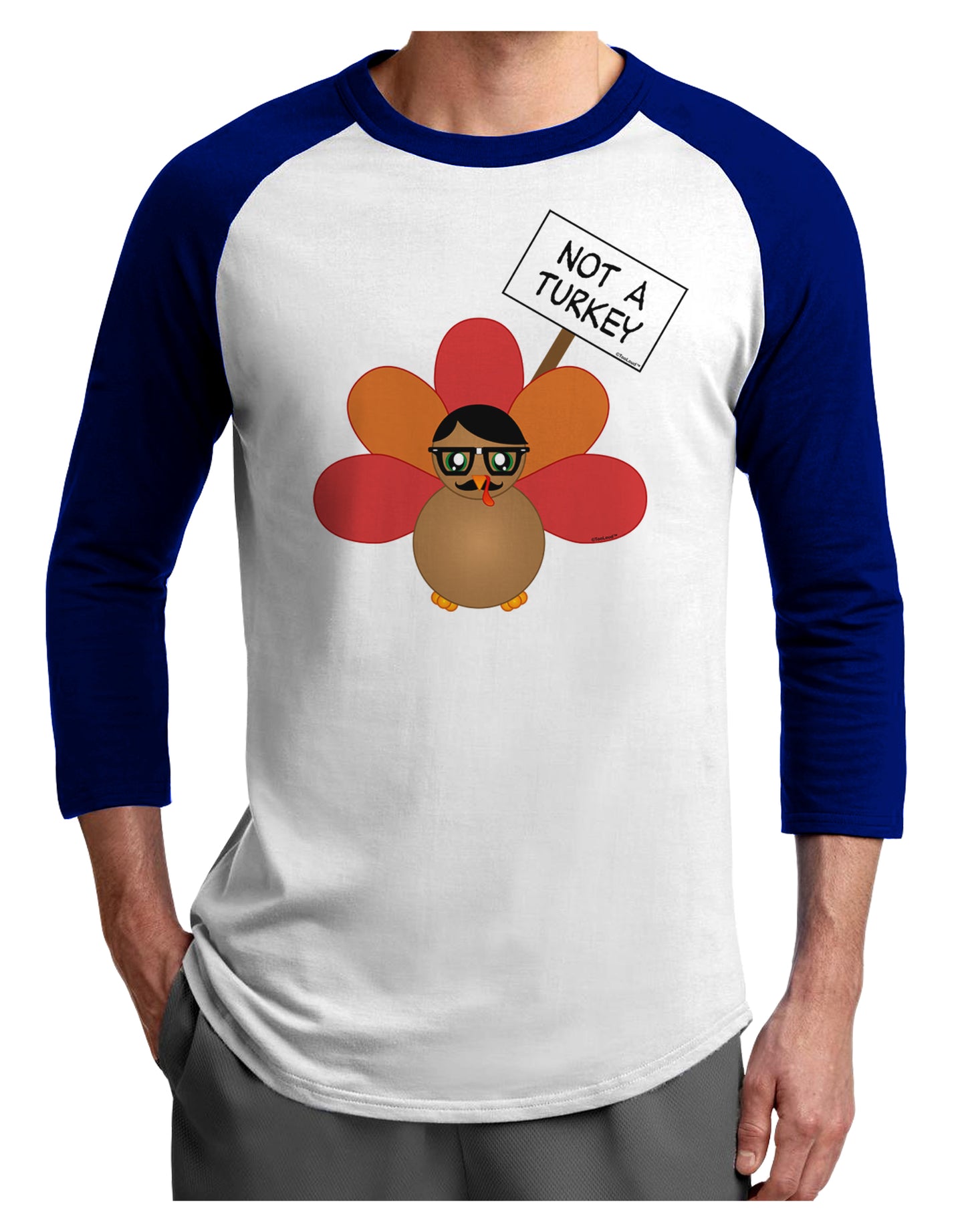 Thanksgiving Turkey in Disguise Adult Raglan Shirt by TooLoud-TooLoud-White-Royal-X-Small-Davson Sales