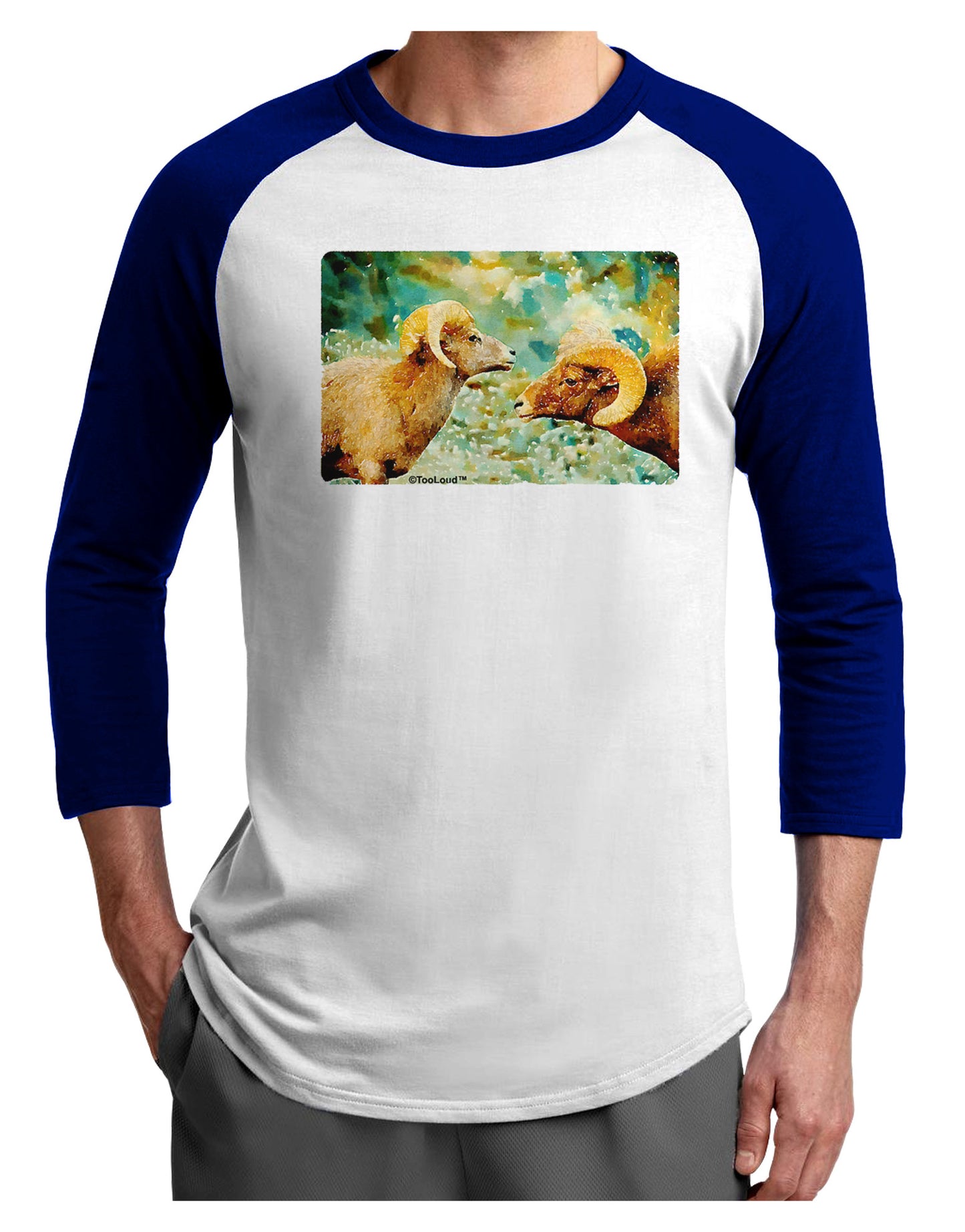 Two Bighorn Rams Watercolor Adult Raglan Shirt-TooLoud-White-Royal-X-Small-Davson Sales