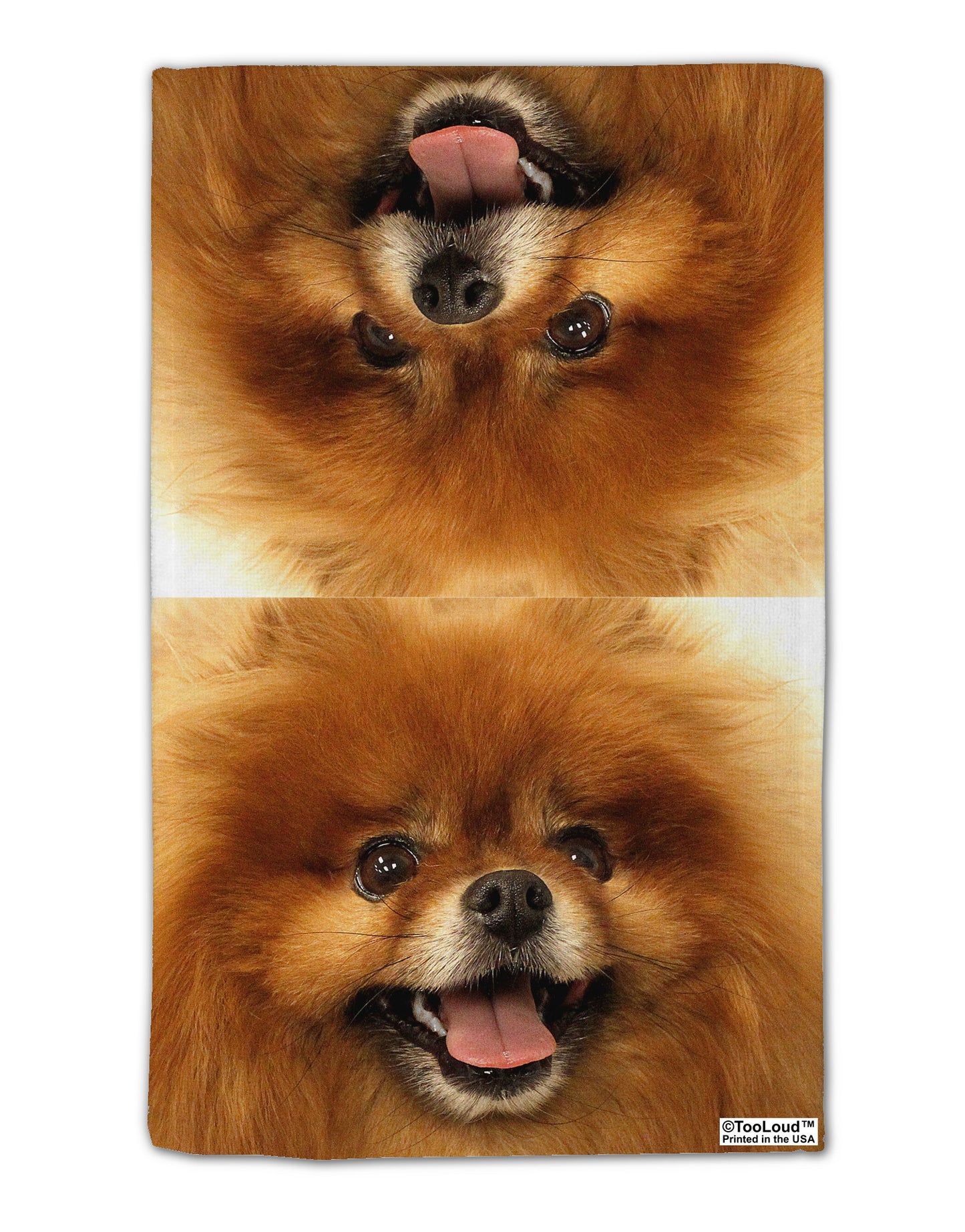 Adorable Red Pomeranian 11"x18" Dish Fingertip Towel All Over Print-Fingertip Towel-TooLoud-White-Davson Sales