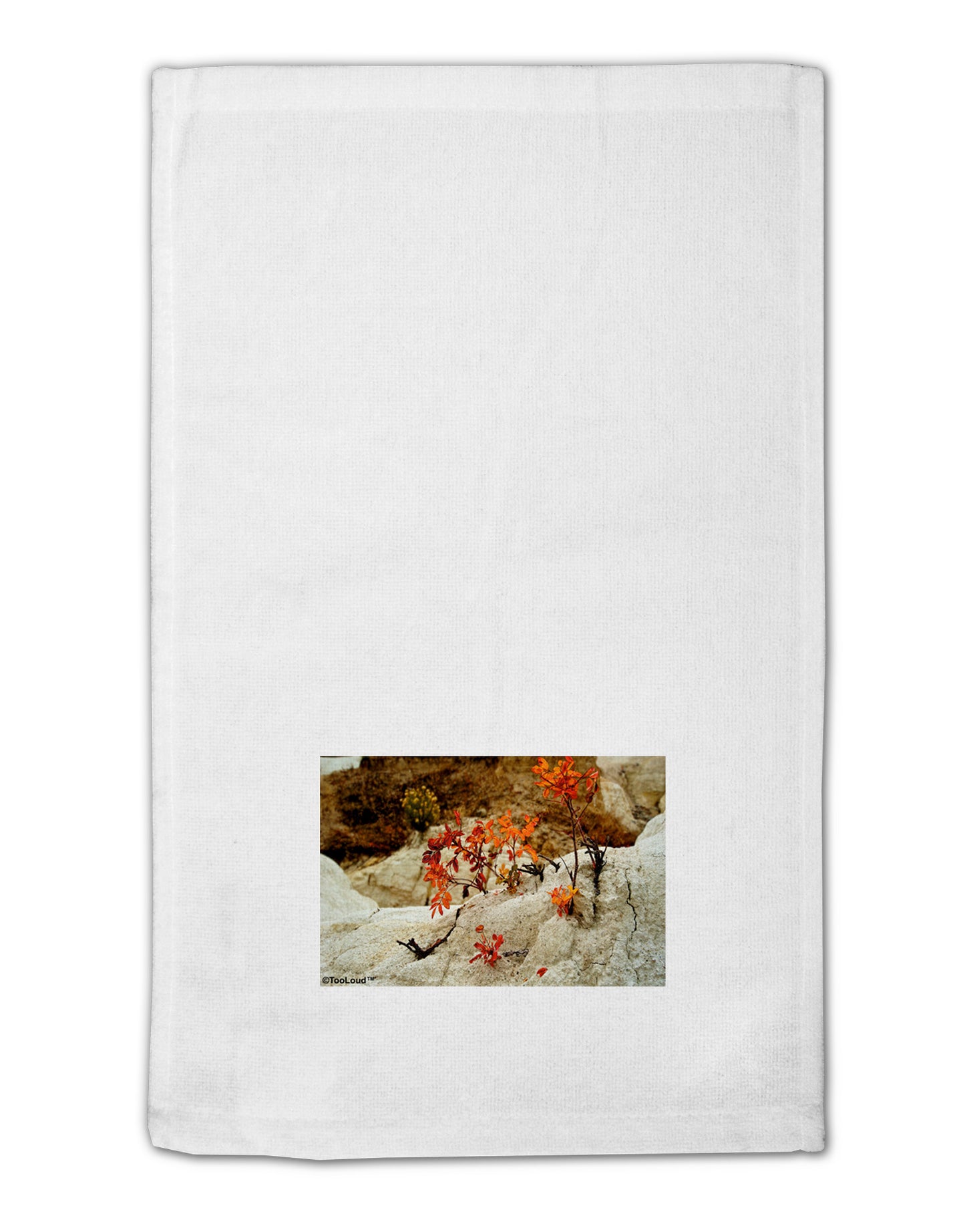 CO Painted Mines 11"x18" Dish Fingertip Towel-Fingertip Towel-TooLoud-White-Davson Sales