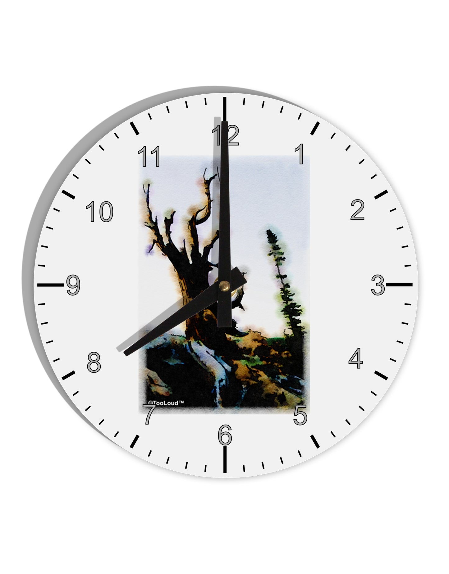 CO Mountain Scenery Watercolor 10 InchRound Wall Clock with Numbers by TooLoud-Wall Clock-TooLoud-White-Davson Sales