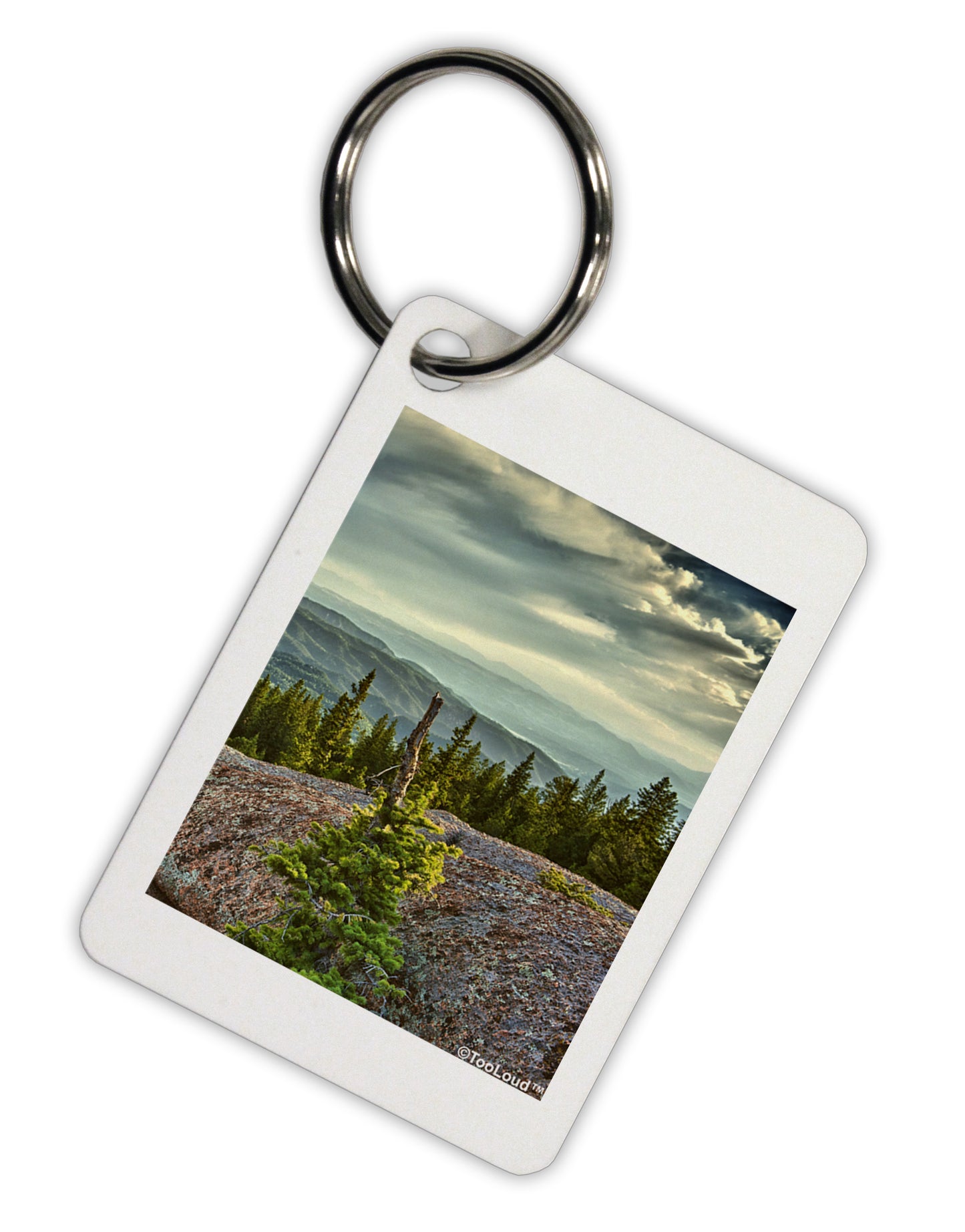 Nature Photography - Pine Kingdom Aluminum Keyring Tag by TooLoud-TooLoud-White-Davson Sales