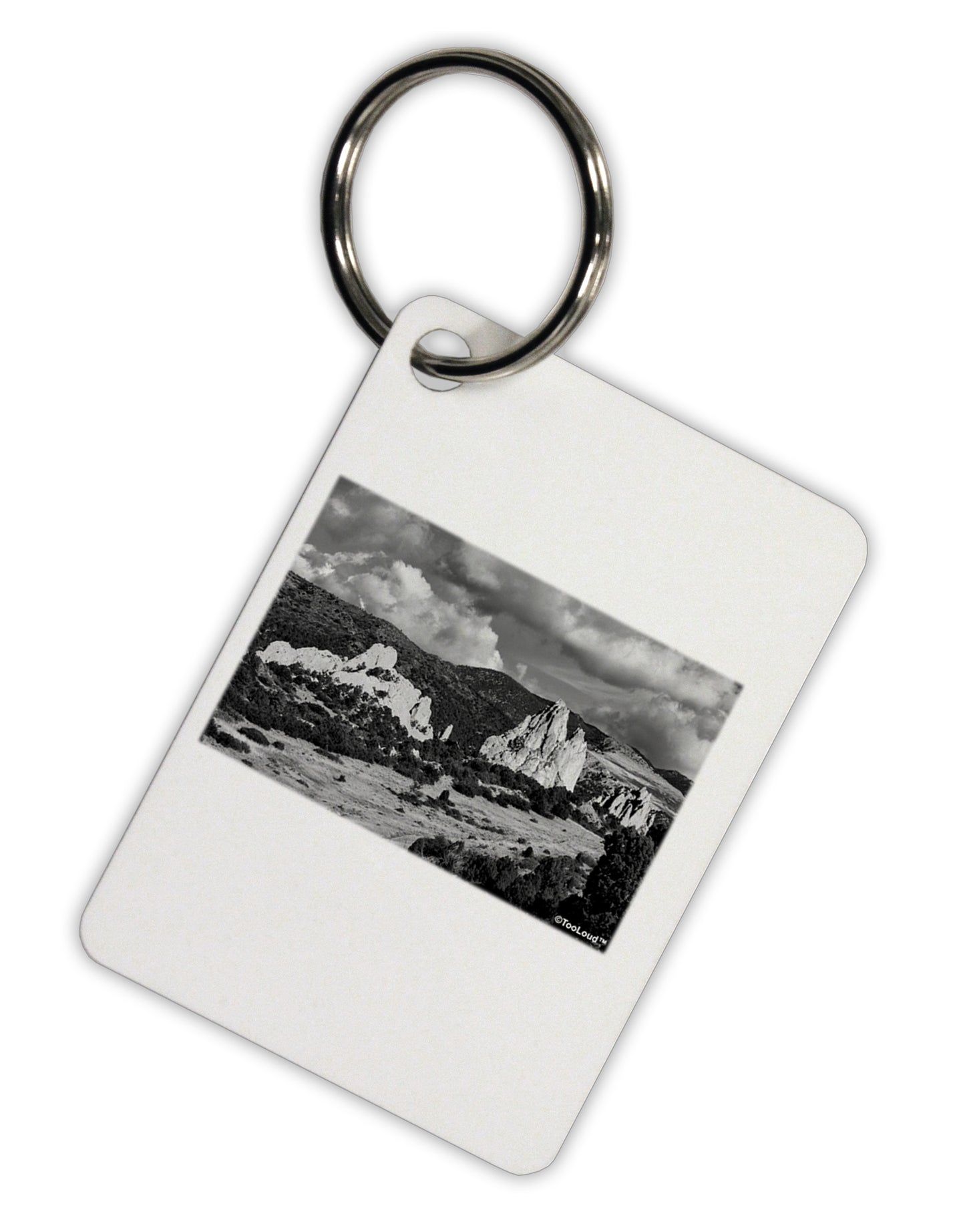CO Mountain Forest Scene Aluminum Keyring Tag by TooLoud-Keyring-TooLoud-White-Davson Sales