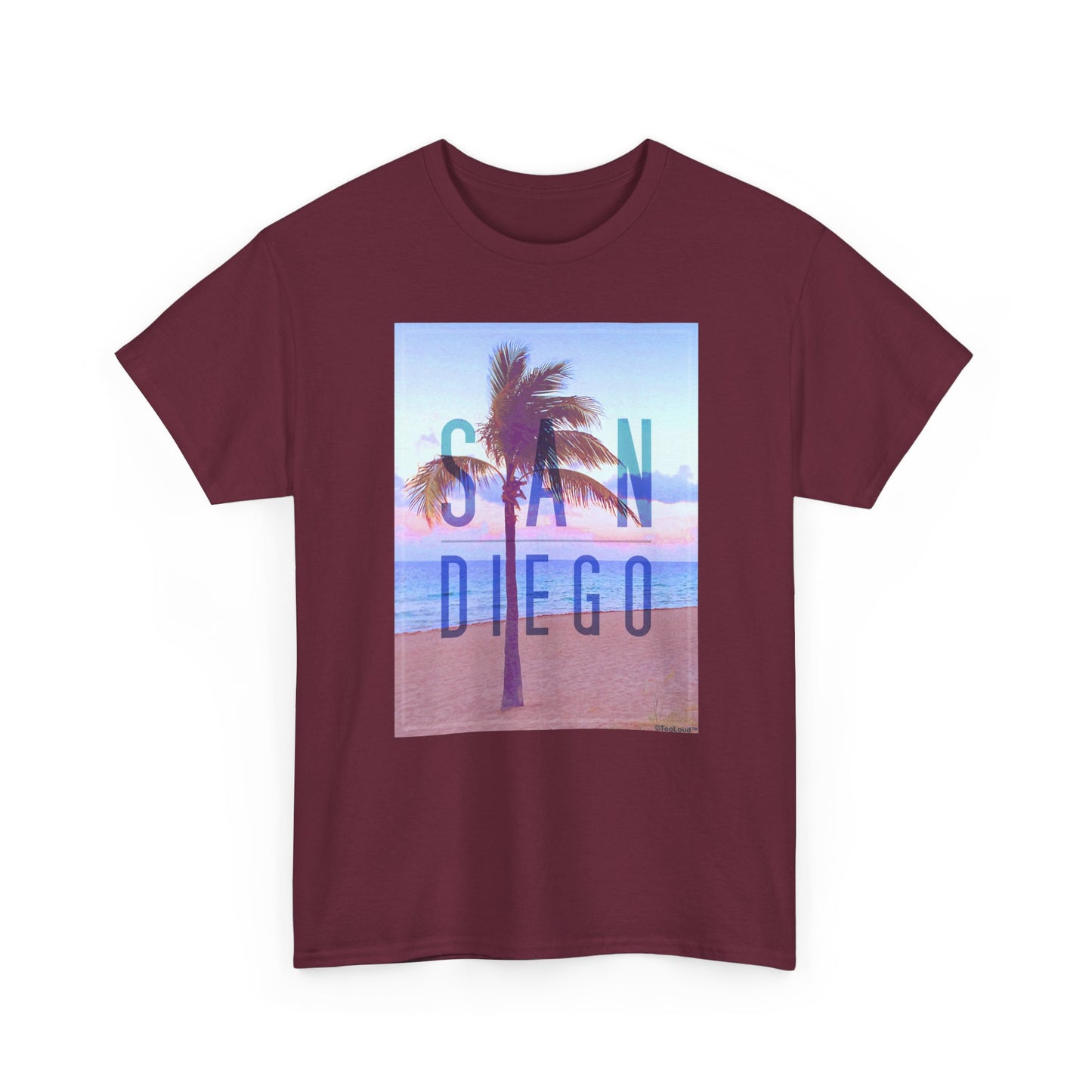 San Diego Beach Filter Unisex Adult Dark T-Shirt by TOOLOUD
