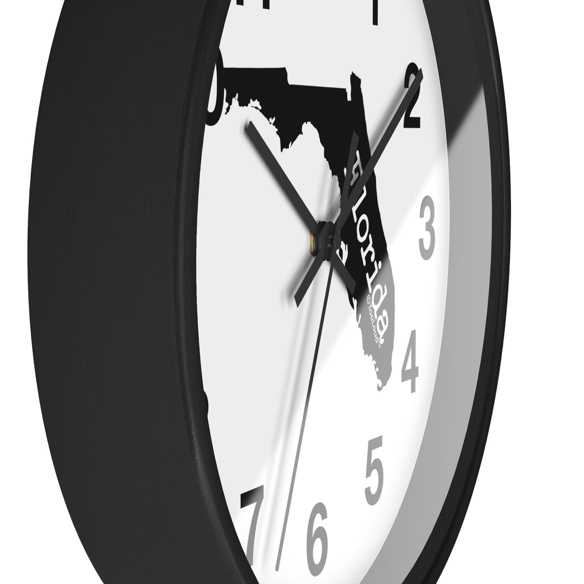 Florida – United States Shape 10" Round Wall Clock with Numbers by TOOLOUD