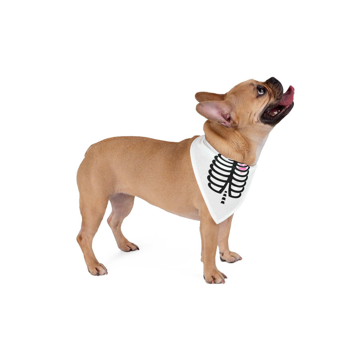 Black Skeleton Ribcage with Pink Heart Halloween Printed White Dog Bandana 27" By TOOLOUD