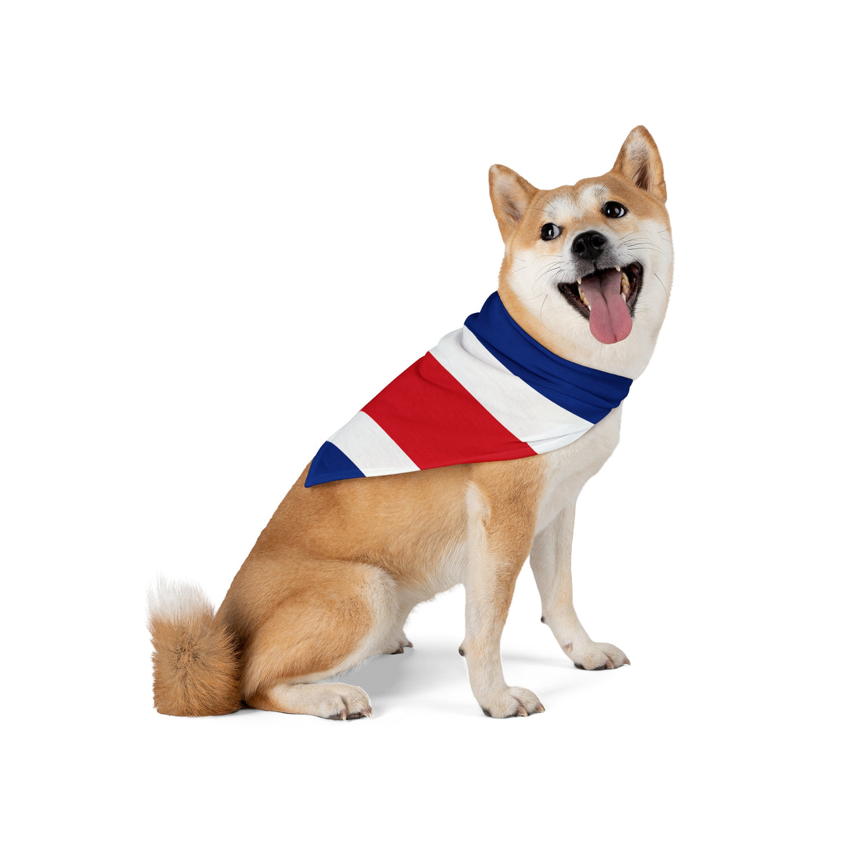 Costa Rica Flag AOP Dog Bandana All Over Print – 2 Size Options – White by TOOLOUD