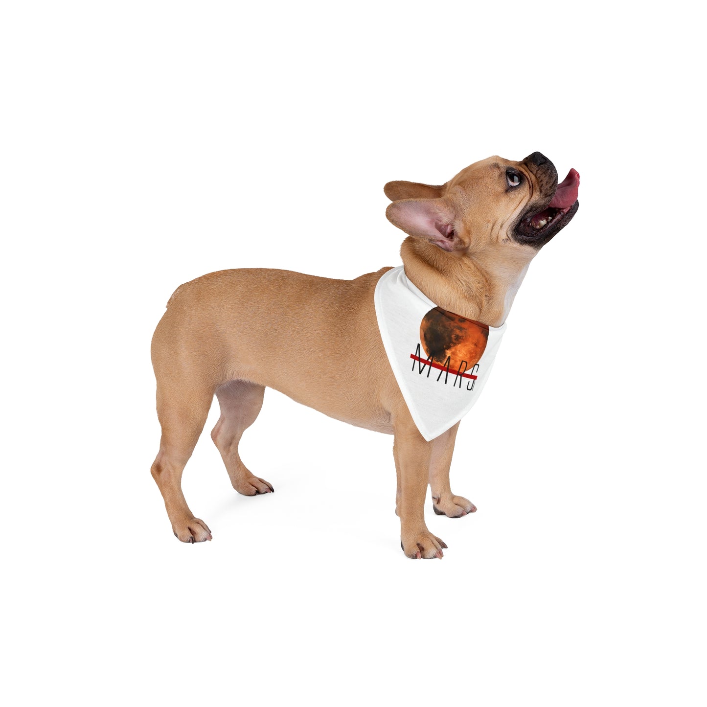 Planet Mars Text Printed White Dog/Pet Bandana 2 sizes by TOOLOUD