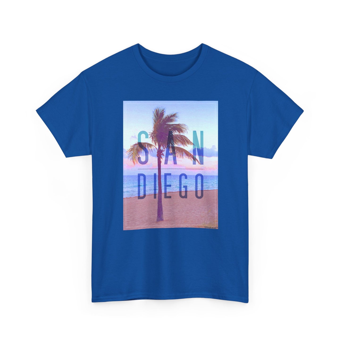 San Diego Beach Filter Unisex Adult Dark T-Shirt by TOOLOUD