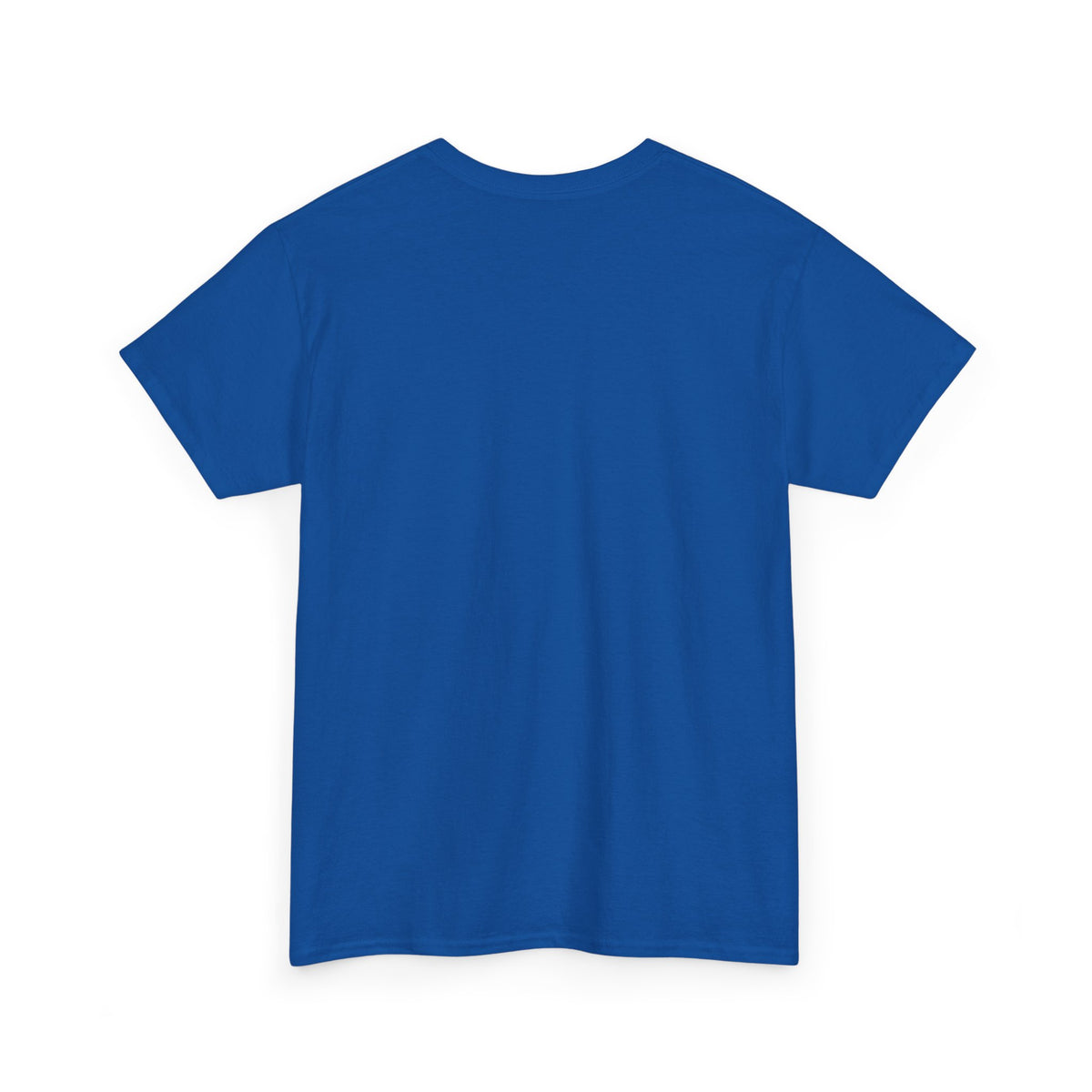 Legends of the Hidden Temple - Barracuda - Adult T-Shirt by TOOLOUD