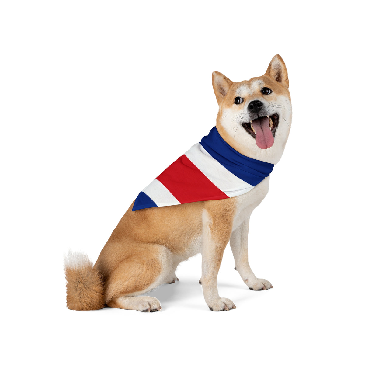 Costa Rica Flag AOP Dog Bandana All Over Print – 2 Size Options – White by TOOLOUD