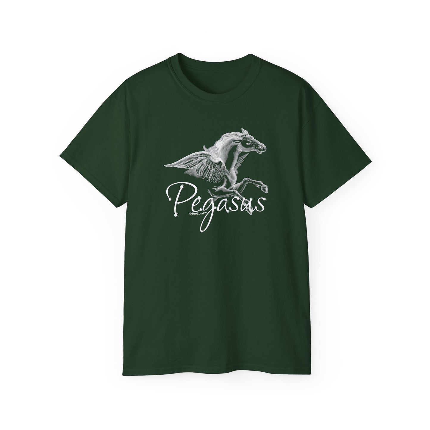 Pegasus Illustration Women’s Dark T-Shirt – by TOOLOUD