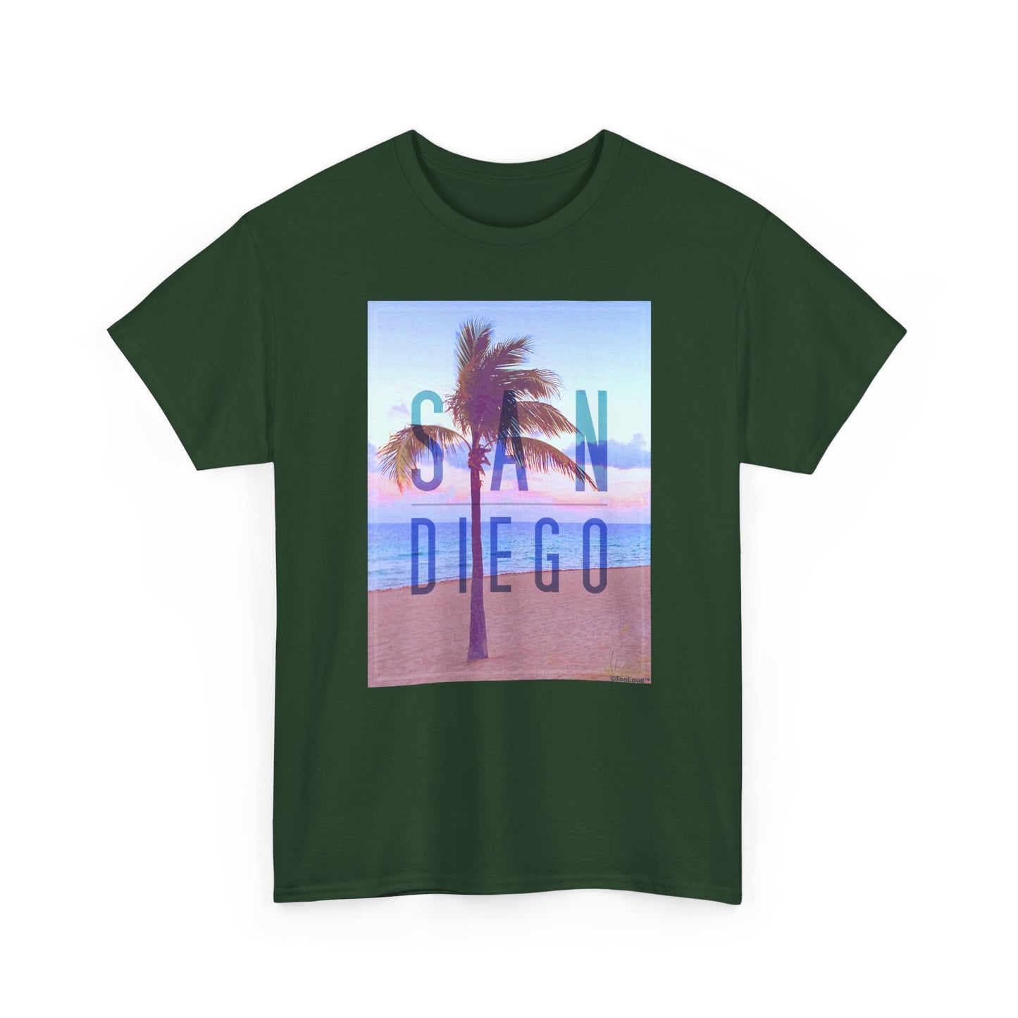 San Diego Beach Filter Unisex Adult Dark T-Shirt by TOOLOUD