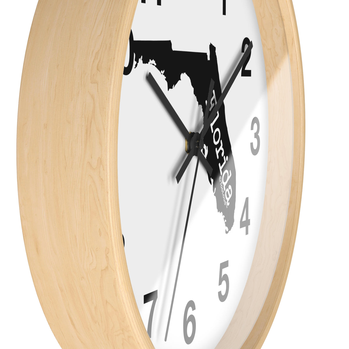 Florida – United States Shape 10" Round Wall Clock with Numbers by TOOLOUD