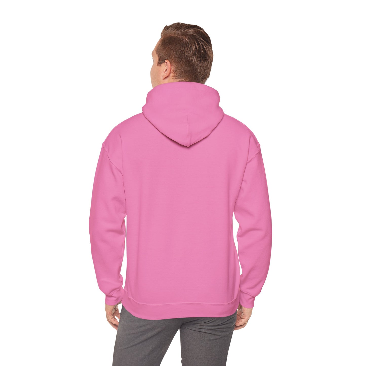 USA Bobsled Hoodie Unisex Sweatshirt by TooLoud
