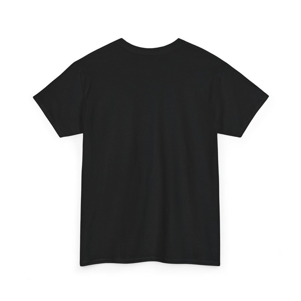 Legends of the Hidden Temple - Barracuda - Adult T-Shirt by TOOLOUD