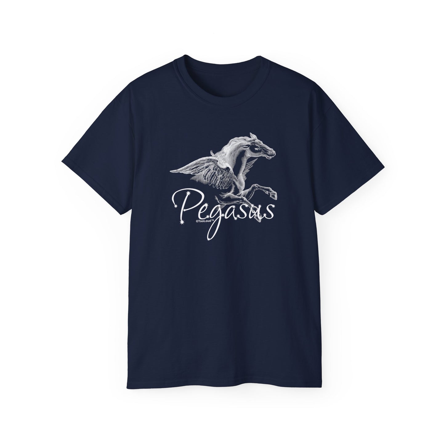 Pegasus Illustration Women’s Dark T-Shirt – by TOOLOUD