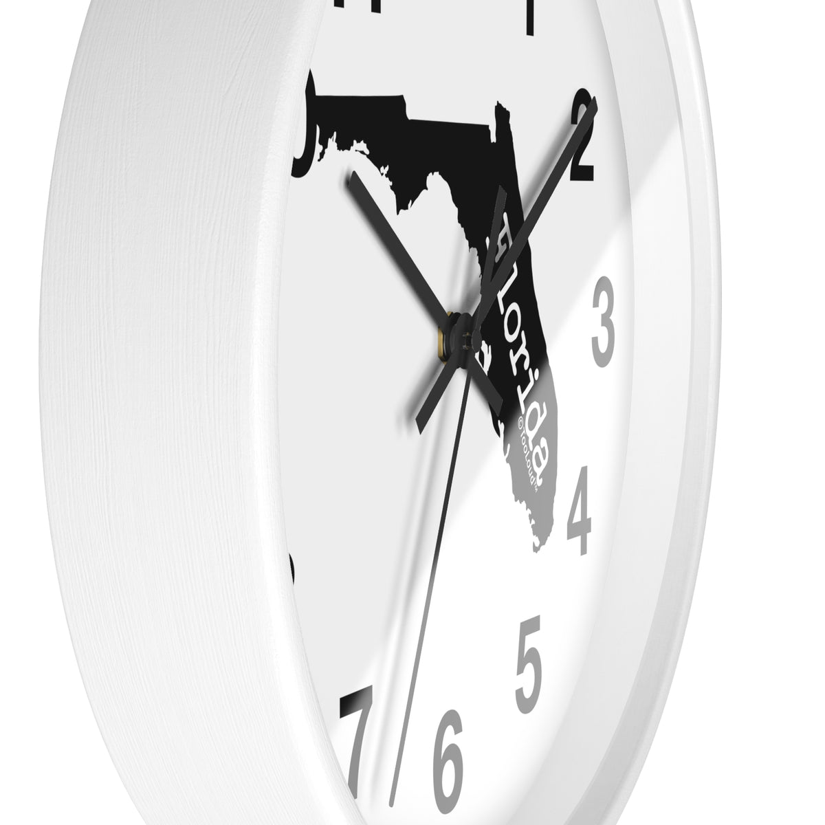 Florida – United States Shape 10" Round Wall Clock with Numbers by TOOLOUD