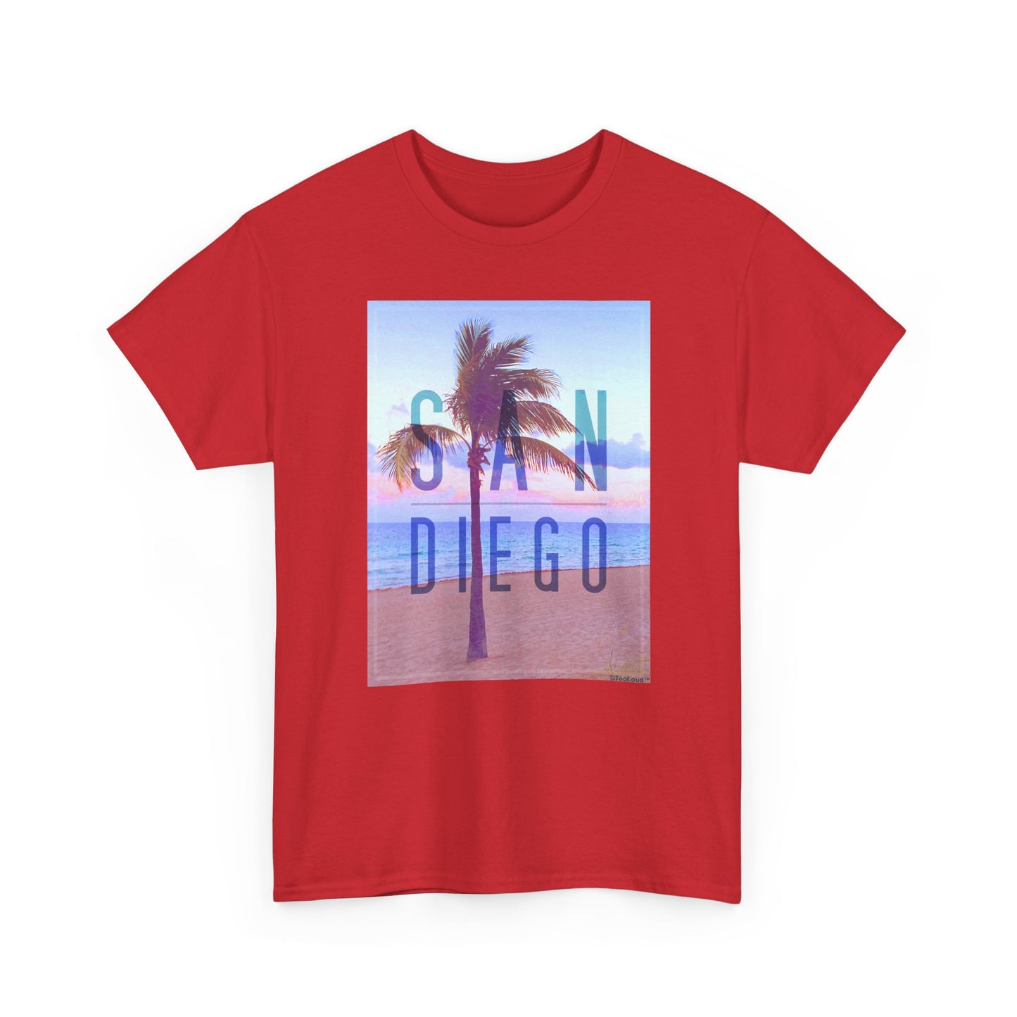 San Diego Beach Filter Unisex Adult Dark T-Shirt by TOOLOUD