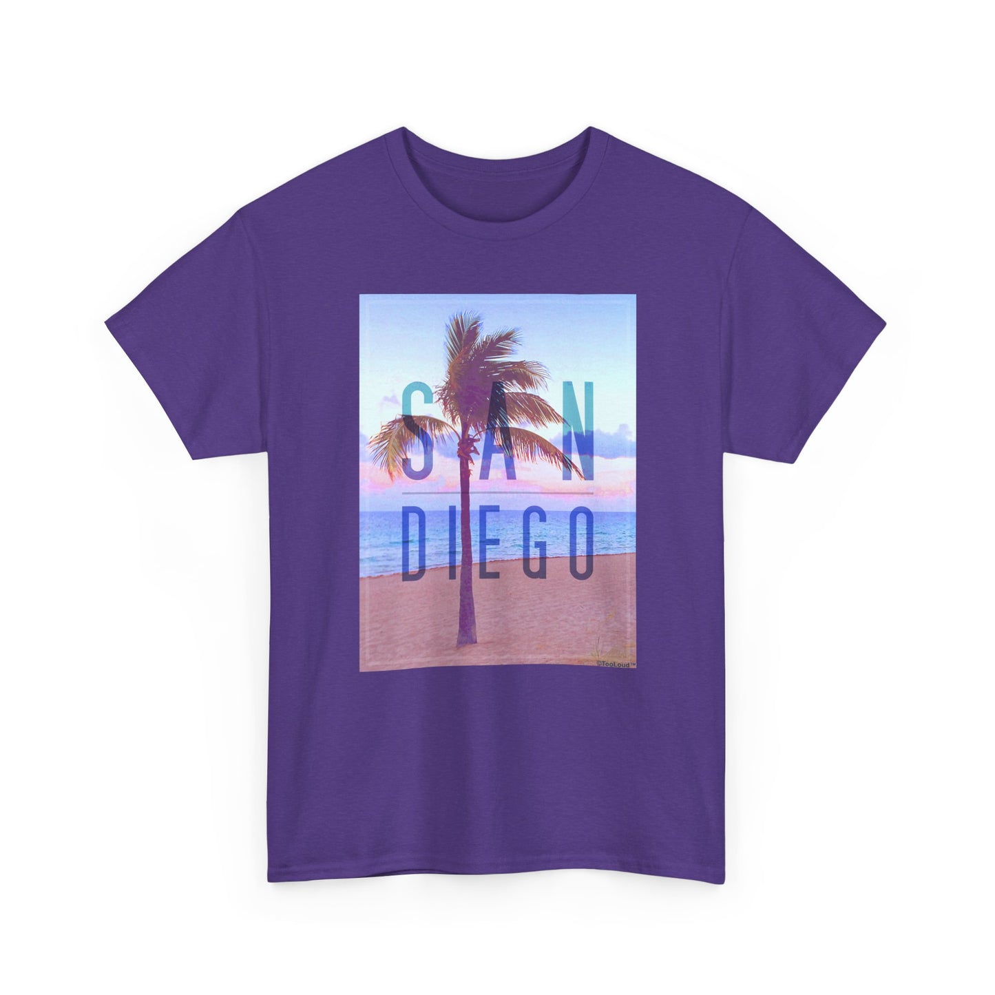 San Diego Beach Filter Unisex Adult Dark T-Shirt by TOOLOUD