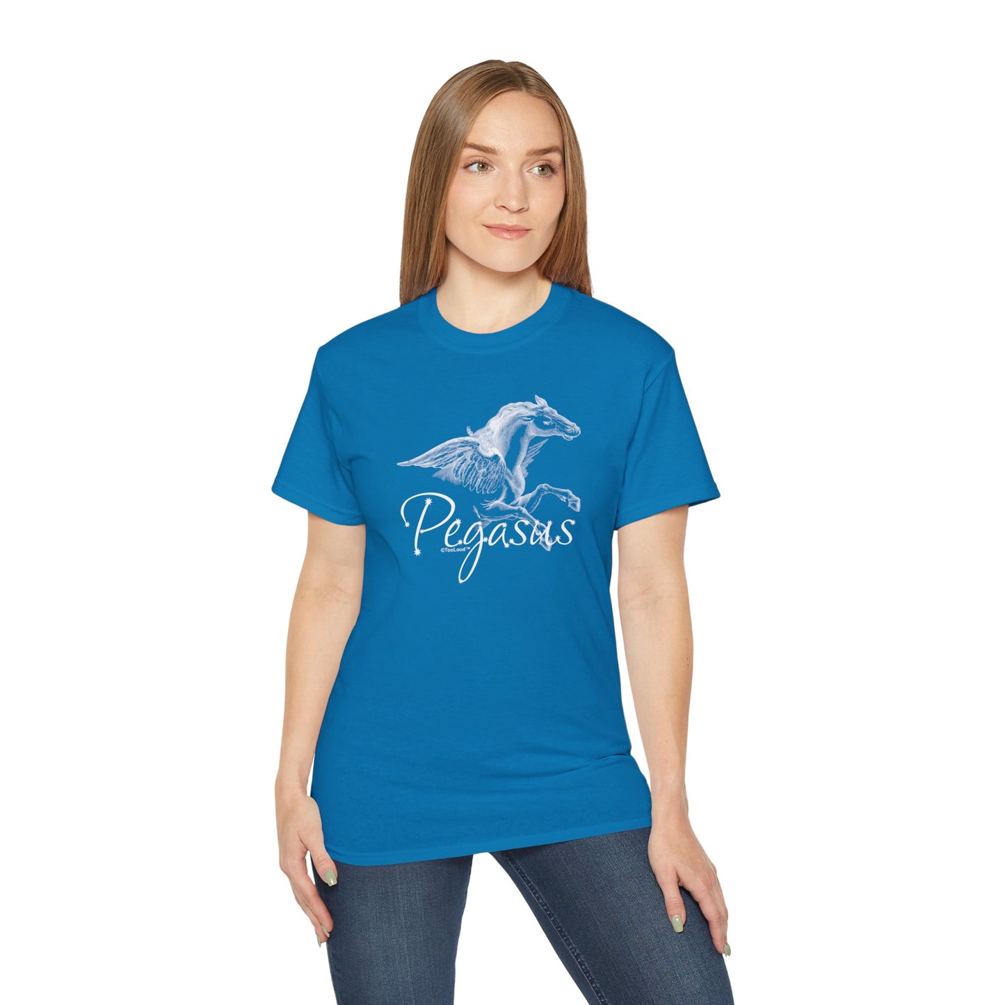 Pegasus Illustration Women’s Dark T-Shirt – by TOOLOUD