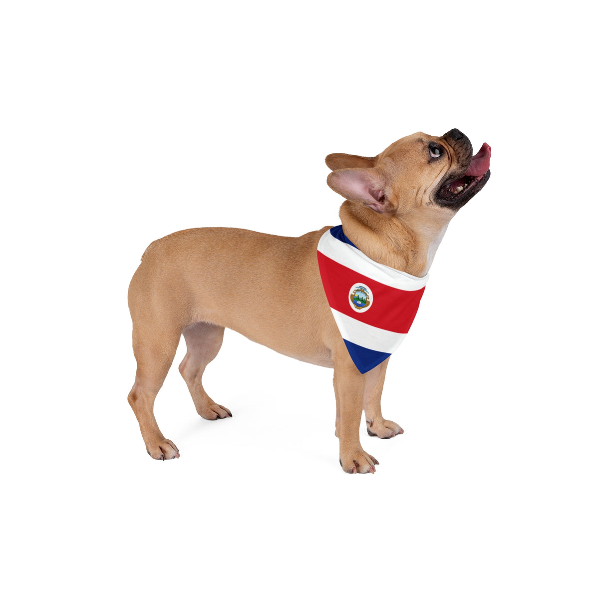 Costa Rica Flag AOP Dog Bandana All Over Print – 2 Size Options – White by TOOLOUD