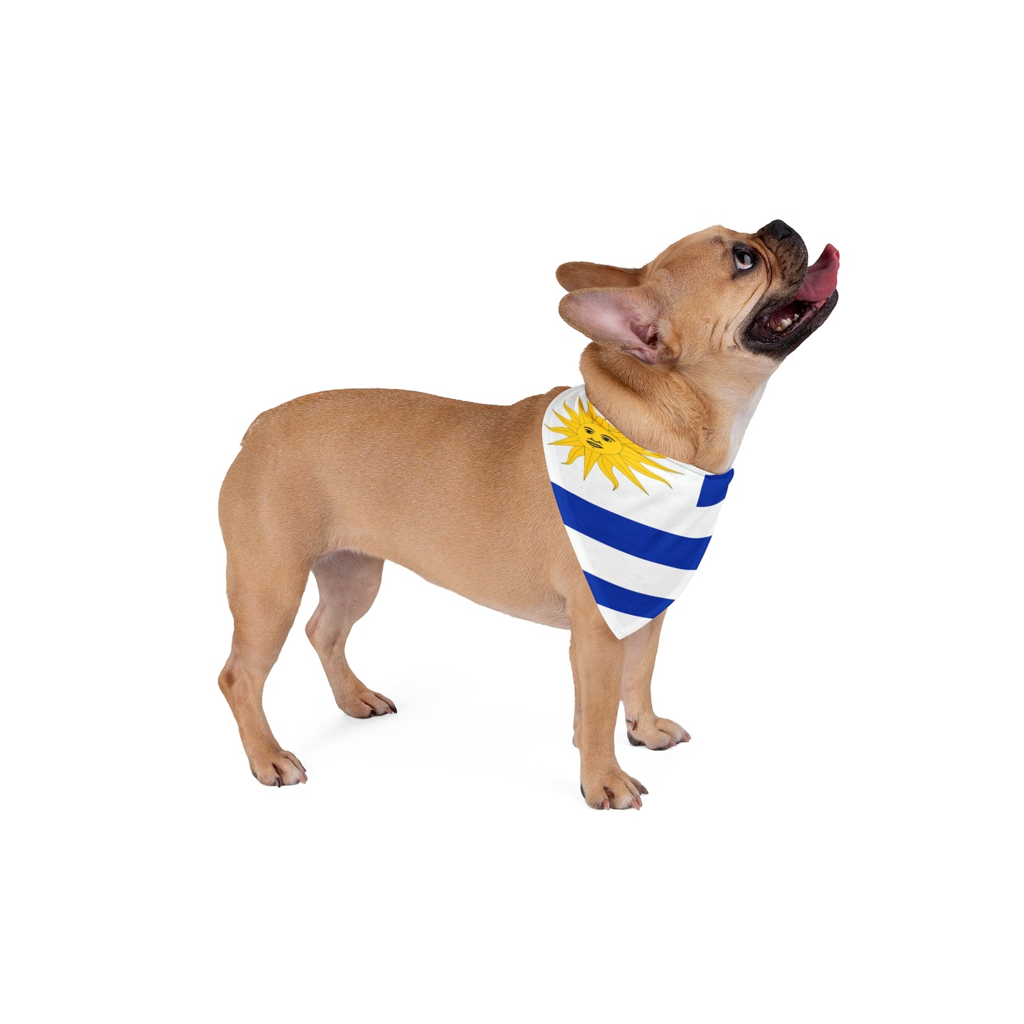 Uruguay Flag AOP Dog/Pet Bandana – 2 Sizes – White by TOOLOUD