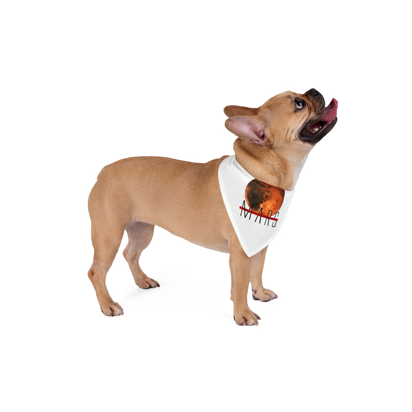 Planet Mars Text Printed White Dog/Pet Bandana 2 sizes by TOOLOUD