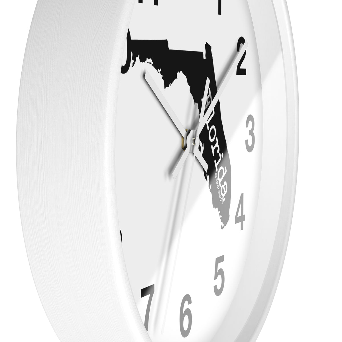 Florida – United States Shape 10" Round Wall Clock with Numbers by TOOLOUD