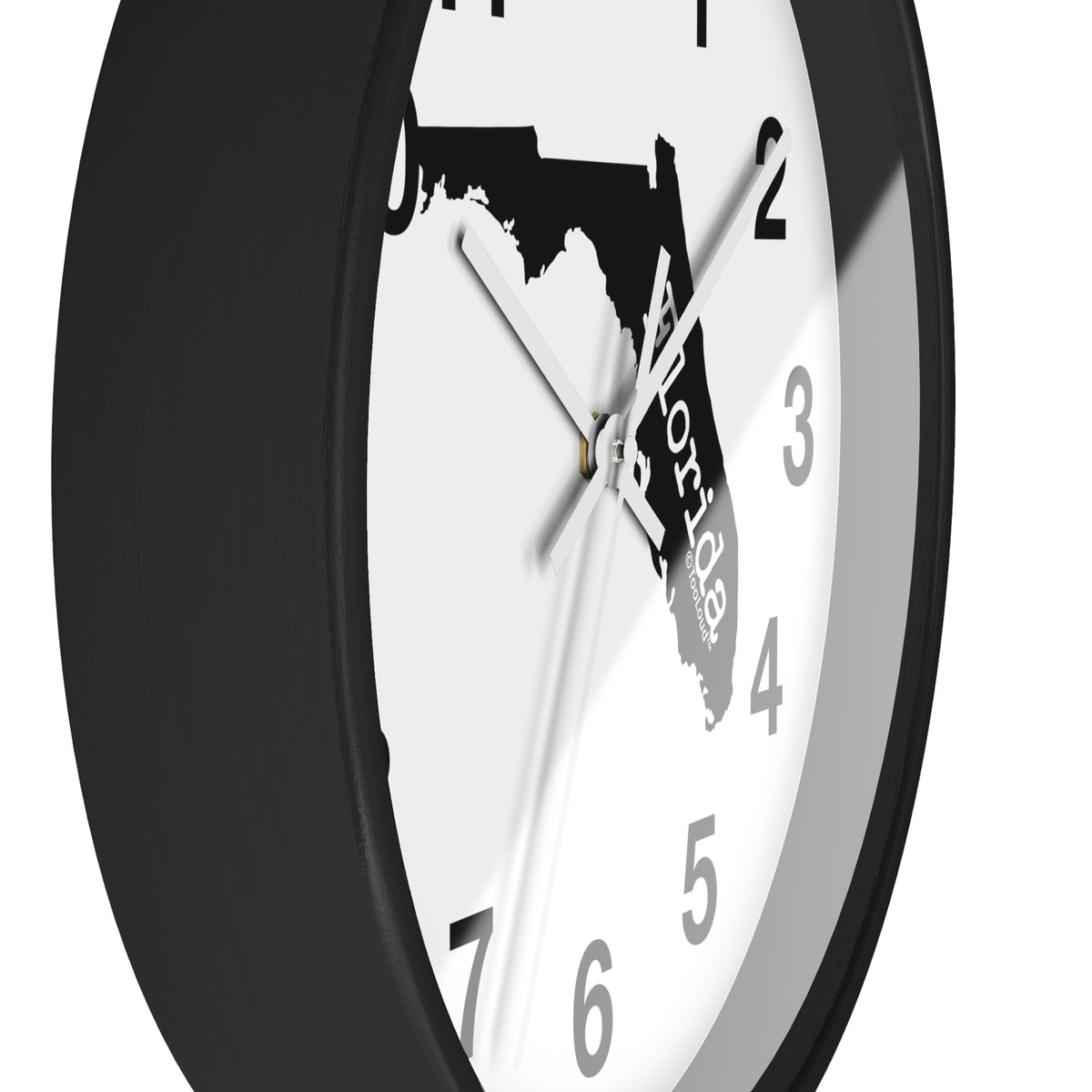 Florida – United States Shape 10" Round Wall Clock with Numbers by TOOLOUD