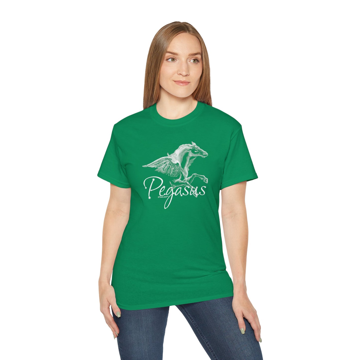 Pegasus Illustration Women’s Dark T-Shirt – by TOOLOUD