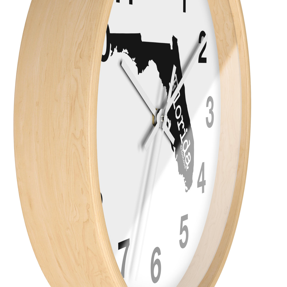 Florida – United States Shape 10" Round Wall Clock with Numbers by TOOLOUD