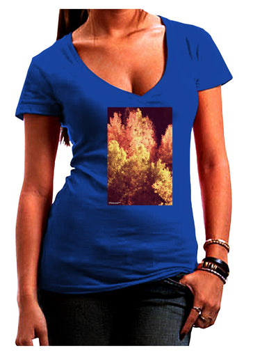 Autumn In Aspen Womens V-Neck Dark T-Shirt-Womens V-Neck T-Shirts-TooLoud-Royal-Blue-Juniors Fitted X-Large-Davson Sales