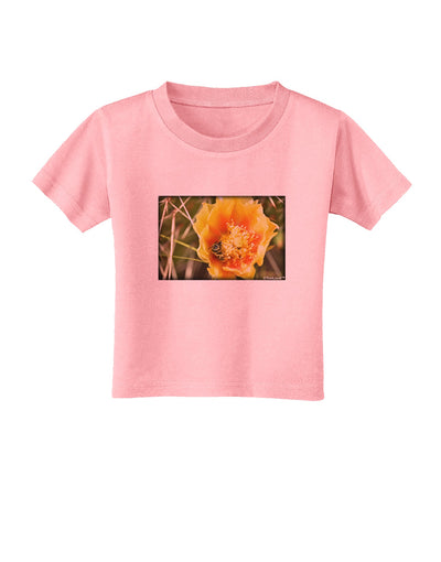 Bee Cactus Toddler T-Shirt-Toddler T-Shirt-TooLoud-Candy-Pink-2T-Davson Sales