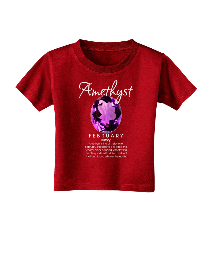 Birthstone Amethyst Dark Toddler T-Shirt Dark-Toddler T-Shirt-TooLoud-Black-2T-Davson Sales