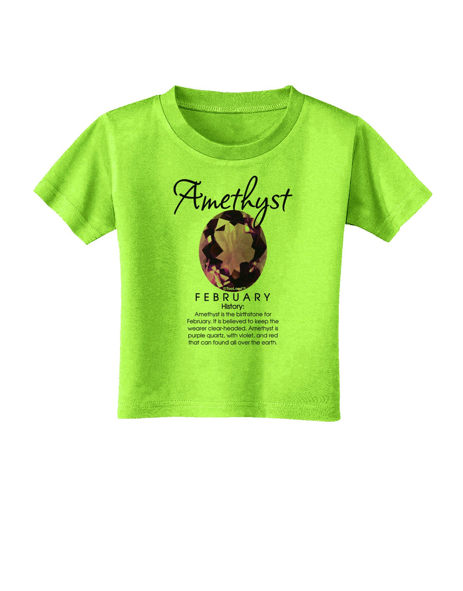 Birthstone Amethyst Toddler T-Shirt-Toddler T-Shirt-TooLoud-White-2T-Davson Sales