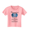 Birthstone Aquamarine Toddler T-Shirt-Toddler T-Shirt-TooLoud-Candy-Pink-2T-Davson Sales