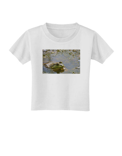 Bullfrog In Water Toddler T-Shirt by TooLoud-Toddler T-Shirt-TooLoud-White-2T-Davson Sales