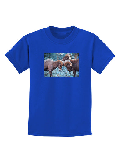 CO Bighorn Head Butt Childrens Dark T-Shirt-Childrens T-Shirt-TooLoud-Royal-Blue-X-Small-Davson Sales