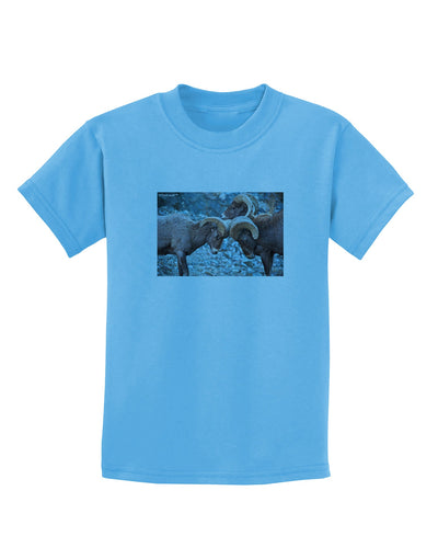 CO Bighorn Head Butt Childrens T-Shirt-Childrens T-Shirt-TooLoud-Aquatic-Blue-X-Small-Davson Sales