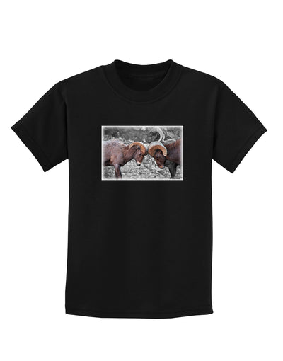 CO Bighorn Head Butt Desaturated Childrens Dark T-Shirt-Childrens T-Shirt-TooLoud-Black-X-Small-Davson Sales