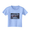 CO Bighorn Head Butt Desaturated Toddler T-Shirt-Toddler T-Shirt-TooLoud-Aquatic-Blue-2T-Davson Sales