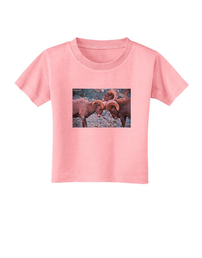 CO Bighorn Head Butt Toddler T-Shirt-Toddler T-Shirt-TooLoud-Candy-Pink-2T-Davson Sales