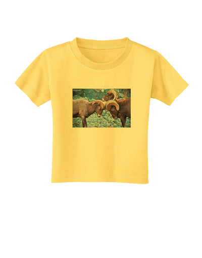 CO Bighorn Head Butt Toddler T-Shirt-Toddler T-Shirt-TooLoud-Yellow-2T-Davson Sales