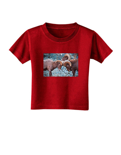 CO Bighorn Head Butt Toddler T-Shirt Dark-Toddler T-Shirt-TooLoud-Red-2T-Davson Sales