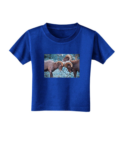 CO Bighorn Head Butt Toddler T-Shirt Dark-Toddler T-Shirt-TooLoud-Royal-Blue-2T-Davson Sales