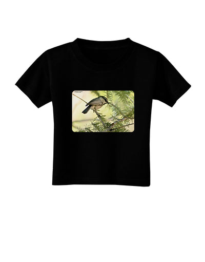 CO Chickadee Toddler T-Shirt Dark-Toddler T-Shirt-TooLoud-Black-2T-Davson Sales