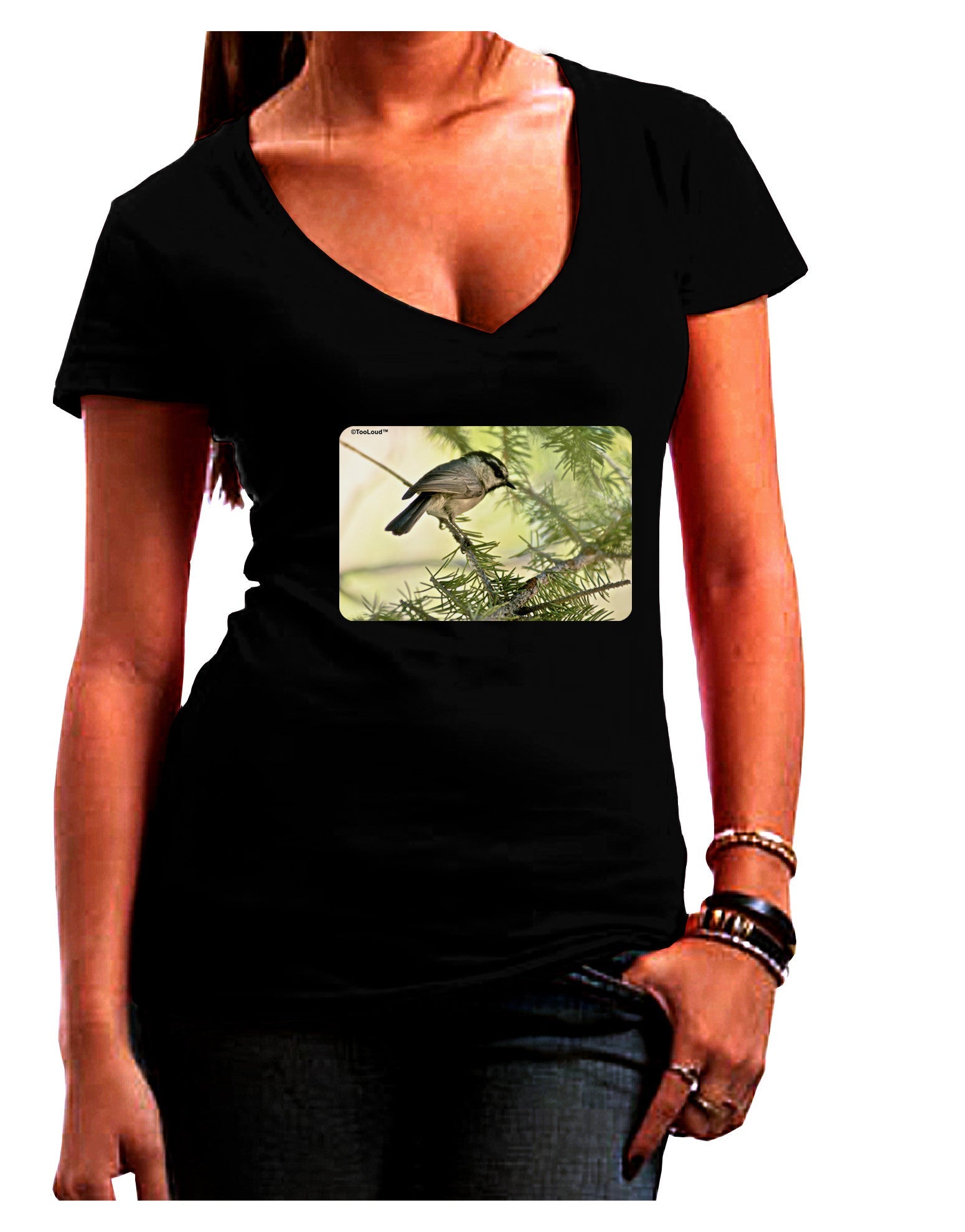 CO Chickadee Womens V-Neck Dark T-Shirt-Womens V-Neck T-Shirts-TooLoud-Black-Juniors Fitted Small-Davson Sales